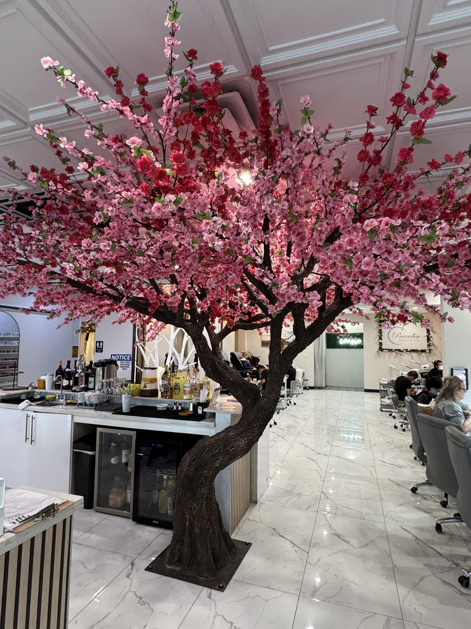 Paradise Nails & Spa interior